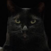 Profile Picture of Renee Piper (@renee-piper-4) on Quora