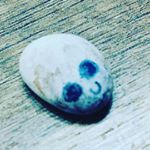 Profile Picture of Gino Sassolino (@gino_il_sassolino_memes) on Instagram