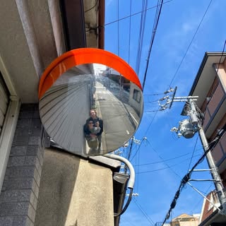 Profile Picture of Katherine Carey (@katherinecarey_) on Instagram