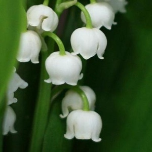 Profile Picture of Anna Kosman (@akosman) on Myspace