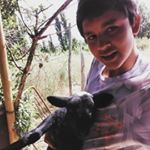 Profile Picture of Adolfo Barraza (@adobarraza57) on Instagram