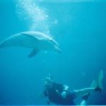 Profile Picture of Michael de Jonge (@michael_de_jonge) on Instagram