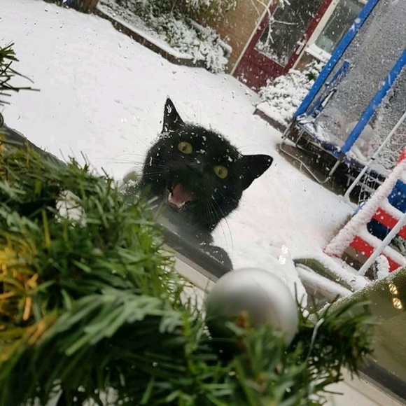 Profile Picture of Carly Gilbertson (@carlygills26) on Poshmark