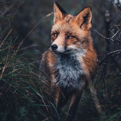 Profile Picture of Frazer Imanene (@that_guy_frayza) on Twitter