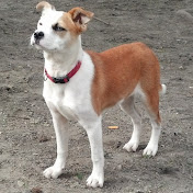 Profile Picture of Chris Keiper (@ChrisKeiper-p5i) on Youtube