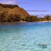 Profile Picture of Jason Kimble (@jasonkimble7786) on Youtube