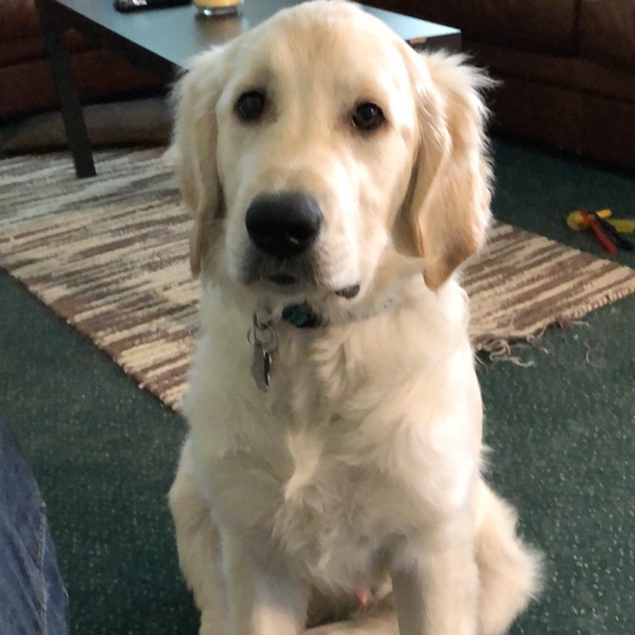 Profile Picture of James Somers (@pablosauce) on Poshmark