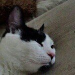 Profile Picture of Raymond Vanbuskirk (@rvanbuskirk8) on Instagram