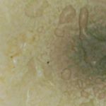 Profile Picture of 🙀 (@danny_0430_irving) on Instagram