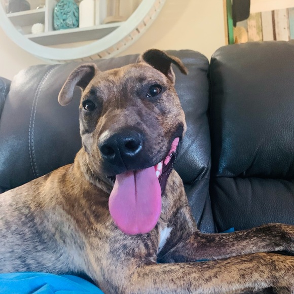 Mignot Mignot - Poshmark Profile Picture of Mignot Mignot (@mignotmignot) on Poshmark