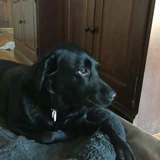 Vandehey BradJannine - Facebook Profile Picture of Vandehey BradJannine (@vandehey.bradjannine.7) on Facebook