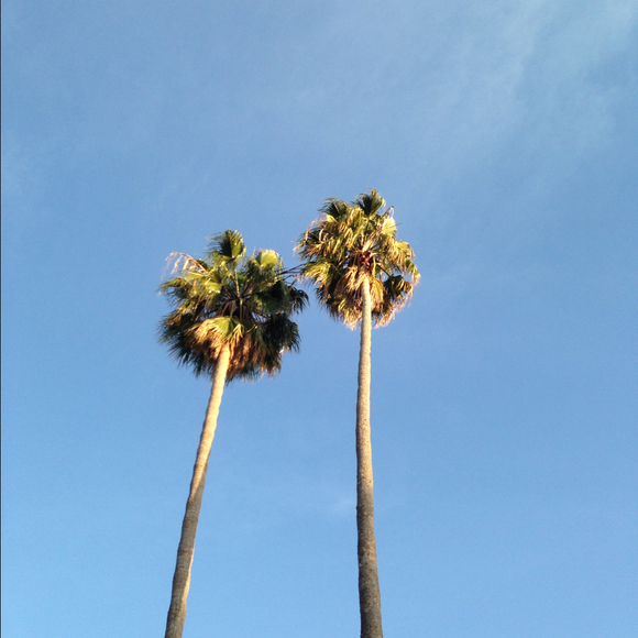 Profile Picture of Joyce Guab (@maycied) on Poshmark