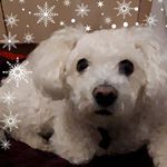 Profile Picture of Joe Burden (@joenightshade21) on Instagram