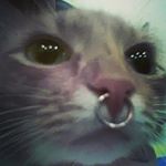 Profile Picture of Punk a Chatte (@scotto.666) on Instagram