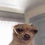 Profile Picture of Scott Morton (@scottmortonscottmorton) on Instagram