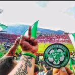 Profile Picture of Carlos Andrade (@Carlos-Andrade) on Facebook