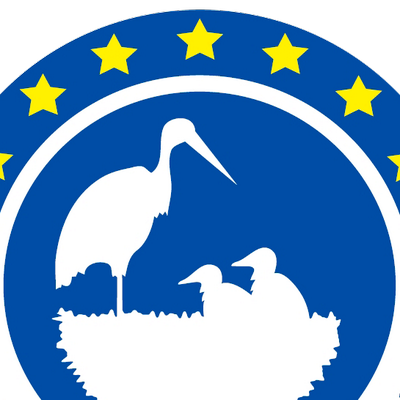 Guillaume Frison - Twitter Profile Picture of Guillaume Frison (@Guifrog) on Twitter