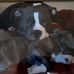 Profile Picture of Mark Mackey (@mark.mackey.921) on Facebook