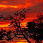 Profile Picture of Robin Kiakis Biitou (@Robin-Kiakis-Biitou) on Facebook