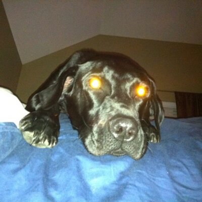 Profile Picture of Matt Neighbors (@WDE_neighbors) on Twitter