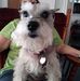 Profile Picture of Jo Newton (@jo.newton.775) on Facebook