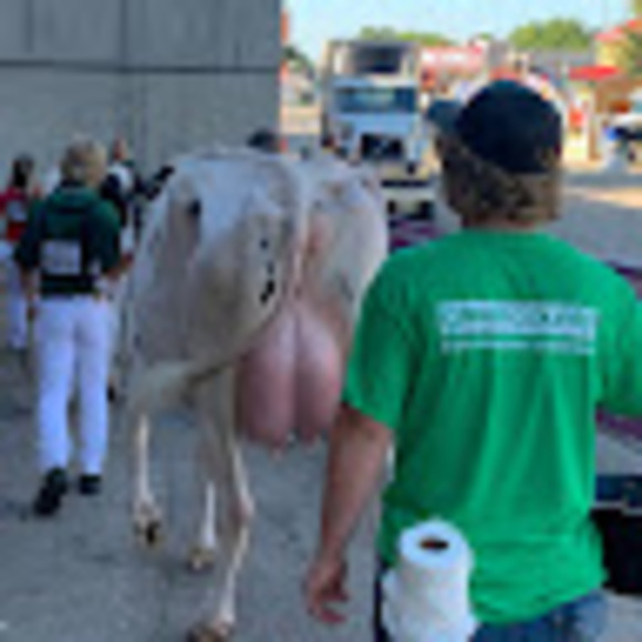 Profile Picture of Derek Schwartzlow (@dschwartzlow) on Poshmark