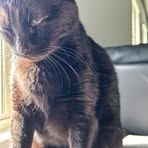 Profile Picture of Arabella Bryant (@Arabella-Bryant) on Facebook