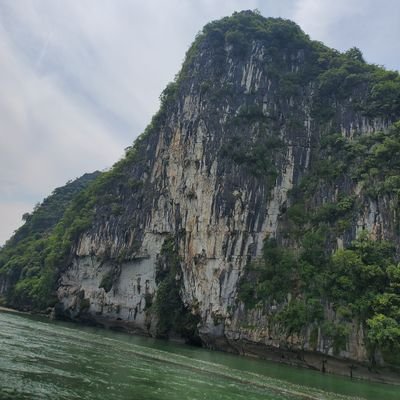 Profile Picture of Qin Zheng (@qinzhen01390985) on Twitter
