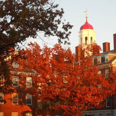 Louis Ransom - Twitter Profile Picture of Louis Ransom (@Louis_Ransom) on Twitter