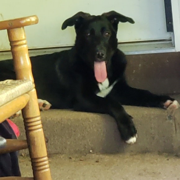 Profile Picture of Shelly Foust (@colorgirl911) on Poshmark