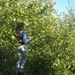 Profile Picture of Miranda Claar (@claarmiranda) on Pinterest