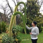 Profile Picture of james_peluso (@james_peluso) on Instagram