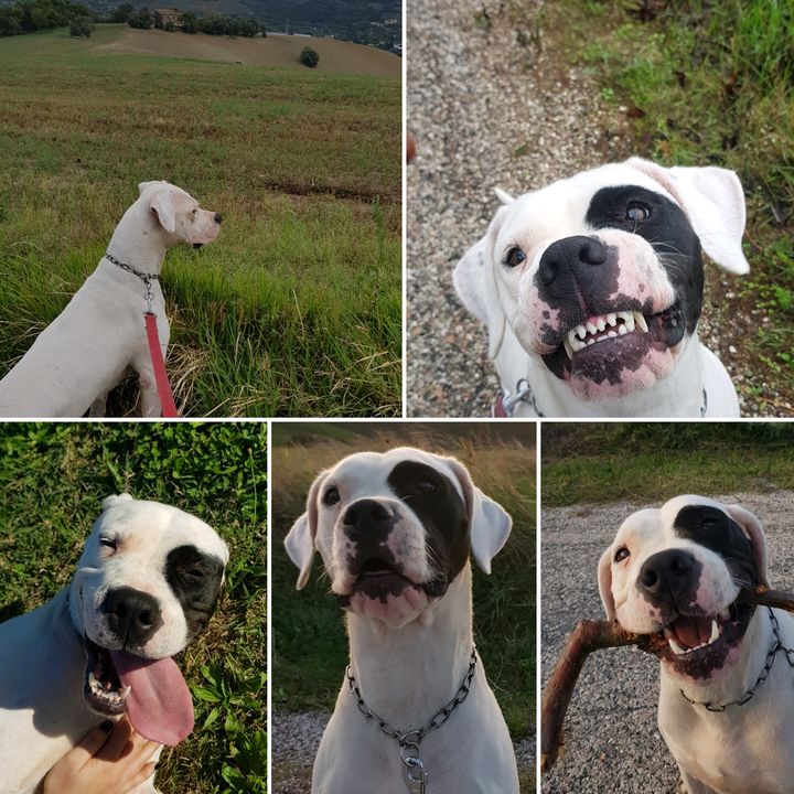 Profile Picture of Michael Morabito (@sputtanik) on Tiktok