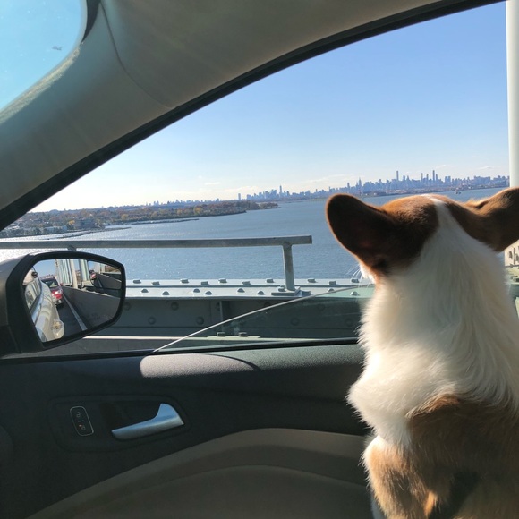 Profile Picture of James Arbes (@jimtiki) on Poshmark