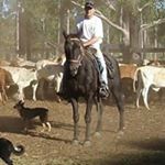 Profile Picture of Craig Hingston (@sparrasmallbird_) on Instagram