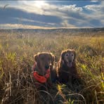 Profile Picture of Jason Savey (@jason.savey.1) on Facebook