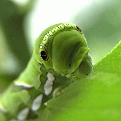 Profile Picture of Karl Stiffler (@KarlStiffler) on Twitter