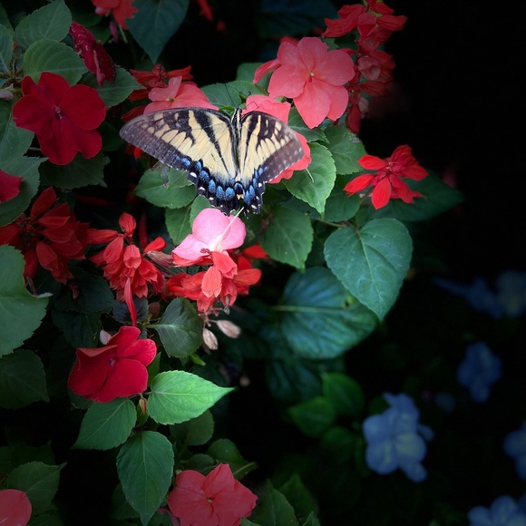 Talja Allen - Poshmark Profile Picture of Talja Allen (@winterness2017) on Poshmark