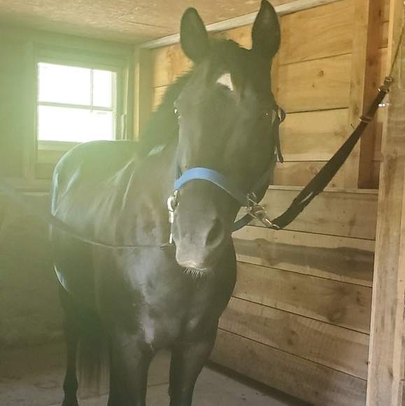 Profile Picture of Christine Prentiss (@clynnp125) on Poshmark