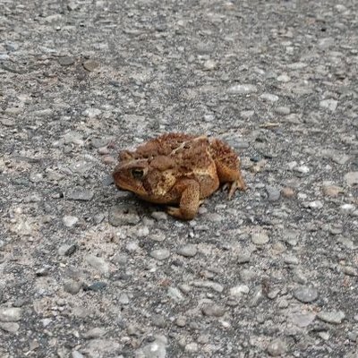 Profile Picture of Andy Moe (@andrew_moe) on Twitter