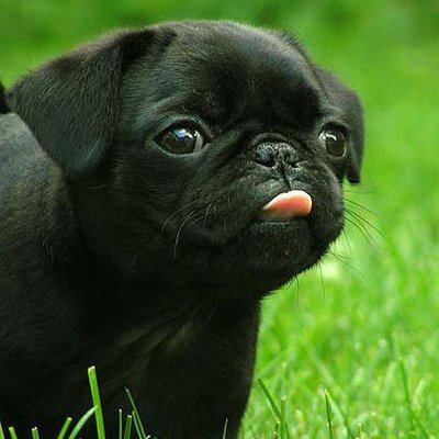 Profile Picture of Alberto Pérez Chávez (@Albert_Tano16) on Twitter