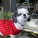Profile Picture of Kay G Duncan (@duncan2013) on Pinterest