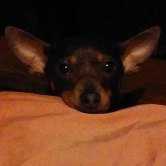 Profile Picture of Nora Oubre (@noraoubre71) on Poshmark