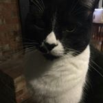 Profile Picture of Tim Jenkins (@pockettimmy) on Instagram