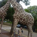 Profile Picture of Adrianbreda Leahy (@adrianbredaleahy) on Instagram