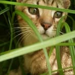 Profile Picture of Lisa Lezama (@lisa.lezama.980) on Facebook