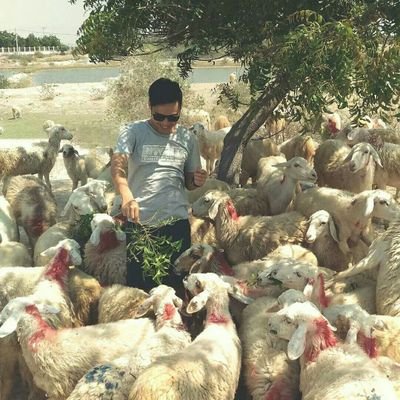 Profile Picture of Quang Anh (@QuangAnh25) on Twitter