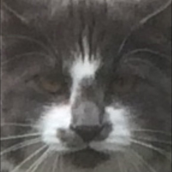 Camryn Zodrow - Poshmark Profile Picture of Camryn Zodrow (@camryn_zodrow) on Poshmark