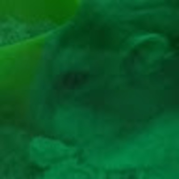 Profile Picture of Andrew Rosansky (@andrew_rosansky) on Poshmark