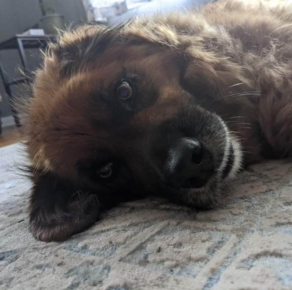 Profile Picture of Kathy Mummert (@kat_mum) on Poshmark